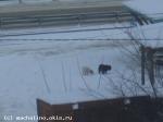 зима13