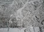 Наша зима-2011