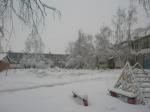 Наша зима-2011